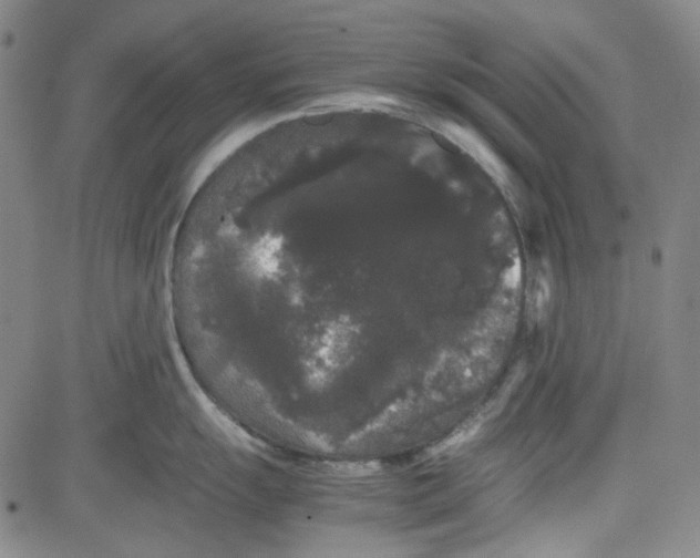 X0000080811055200701051145