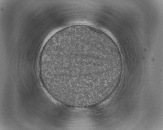 X0000080811056200701051145