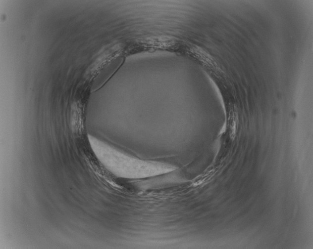 X0000080811058200701051144