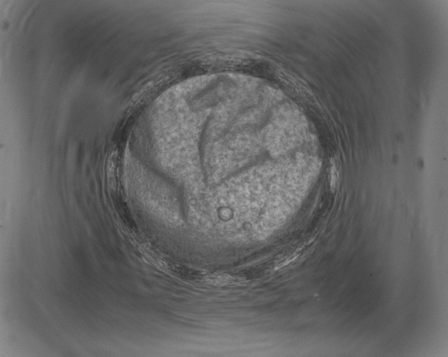 X0000080811059200701051144