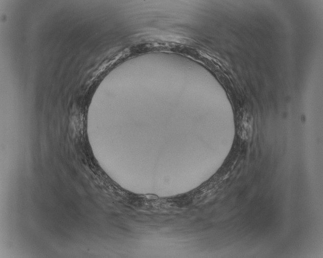 X0000080811061200701051144