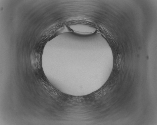 X0000080811062200701051144