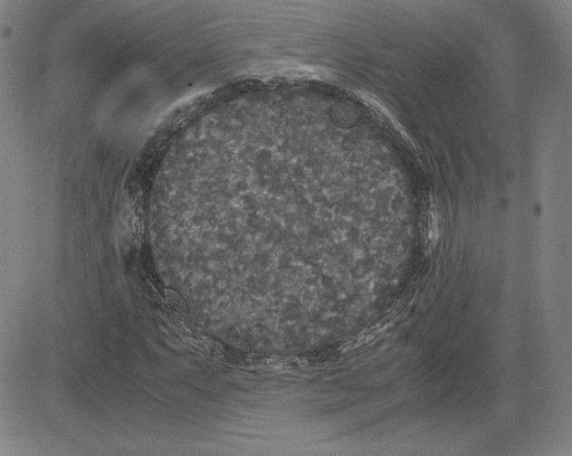 X0000080811063200701051144