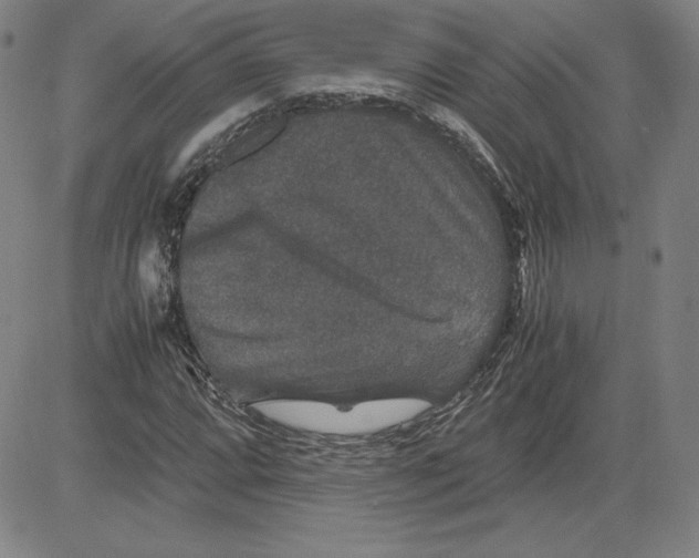 X0000080811064200701051144