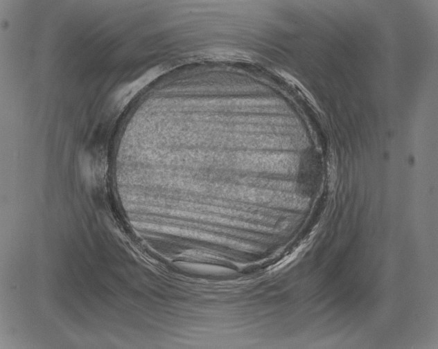 X0000080811065200701051144