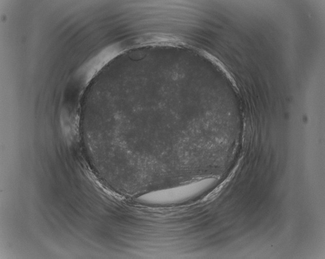 X0000080811066200701051144