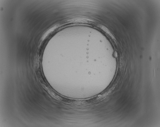 X0000080811067200701051144