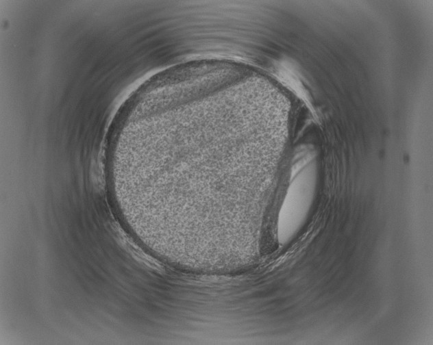 X0000080811068200701051144