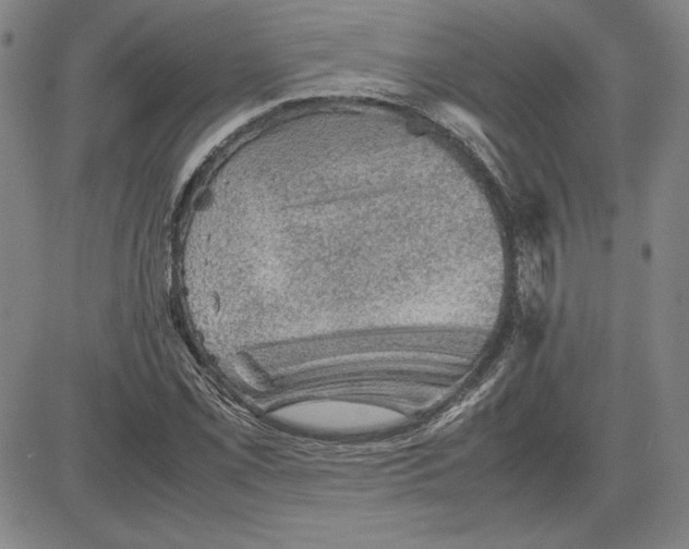 X0000080811069200701051144