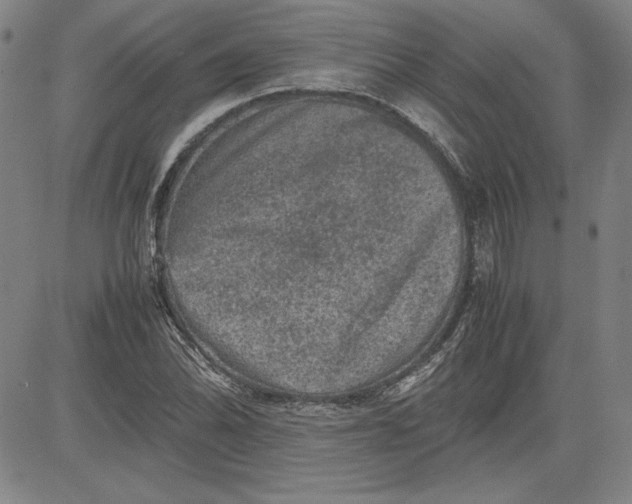 X0000080811070200701051144