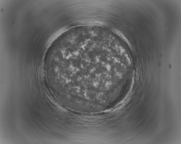 X0000080811071200701051144