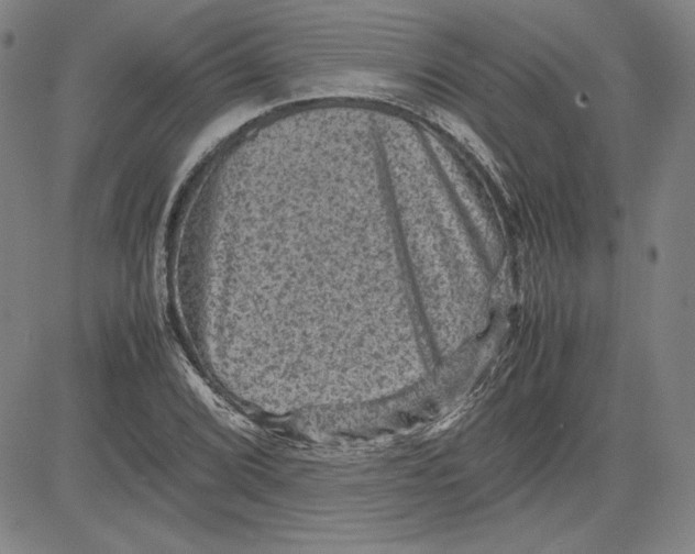 X0000080811072200701051144