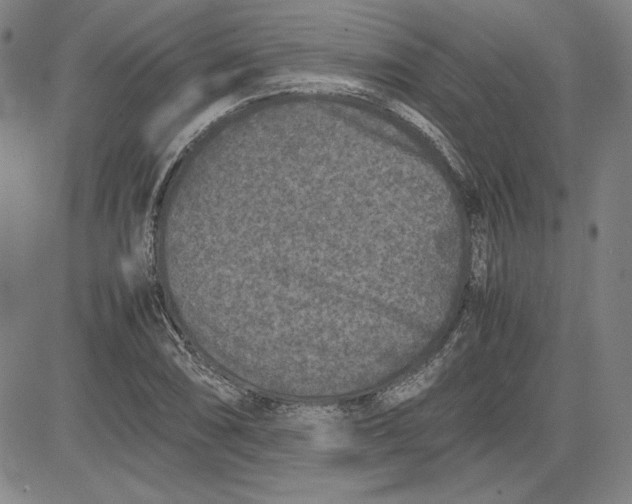 X0000080811074200701051144