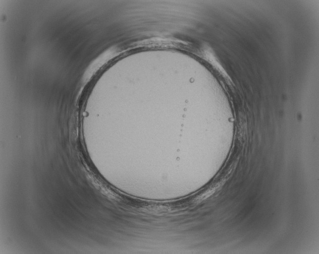 X0000080811075200701051144