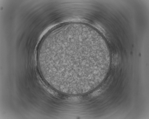 X0000080811078200701051144