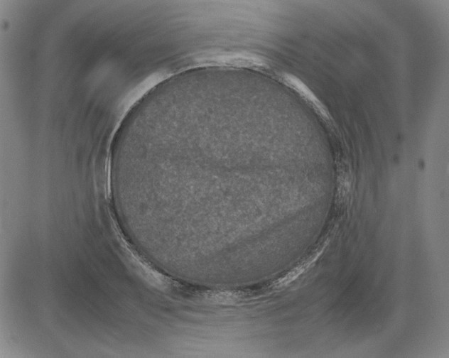 X0000080811079200701051144