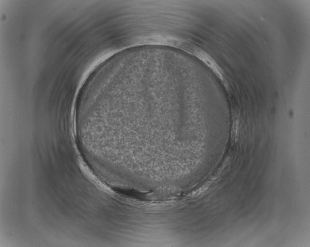 X0000080811080200701051144