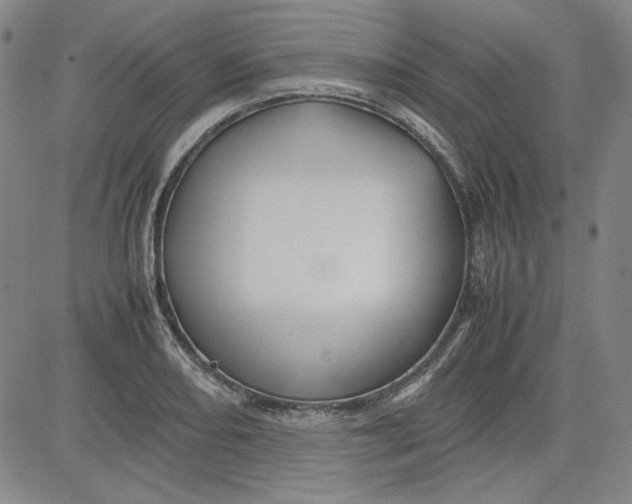 X0000080811082200701051144