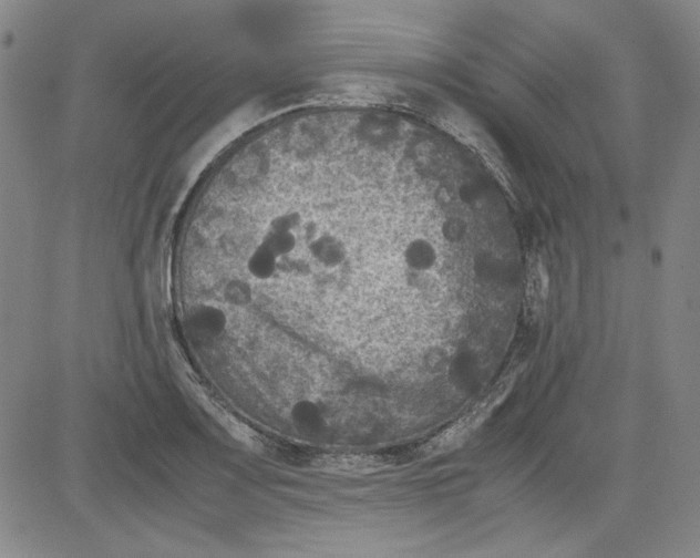 X0000080811083200701051144