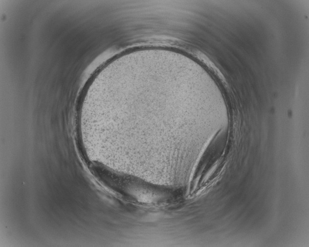 X0000080811085200701051144