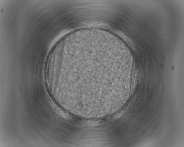 X0000080811086200701051144