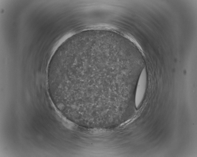 X0000080811087200701051144