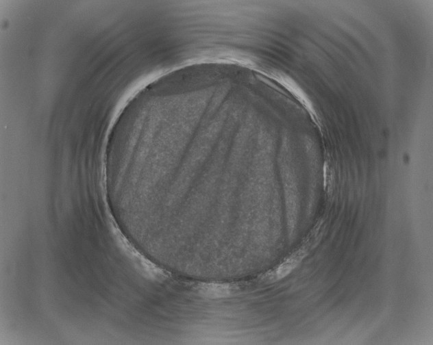 X0000080811088200701051144