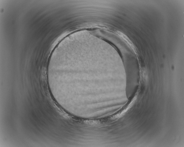 X0000080811089200701051144