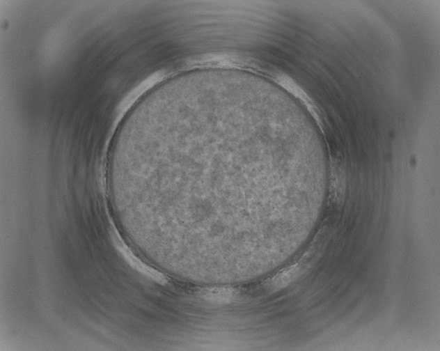 X0000080811090200701051144