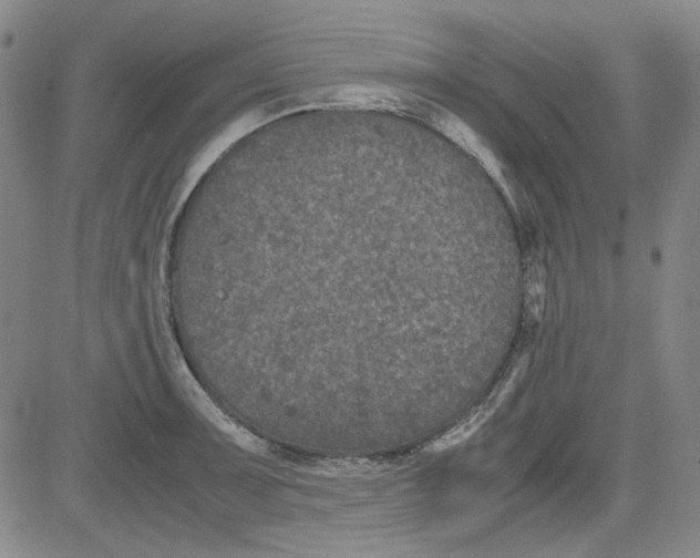 X0000080811091200701051144