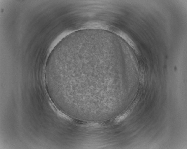 X0000080811094200701051144