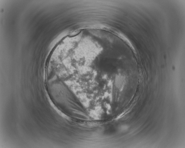 X0000080811095200701051144