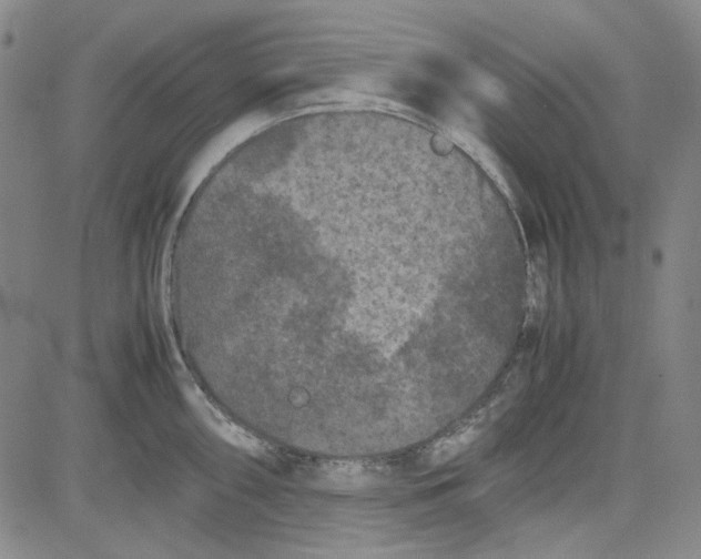 X0000080811098200701051144