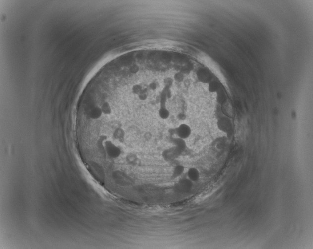 X0000080811099200701051144