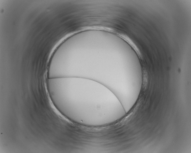 X0000080811100200701051144