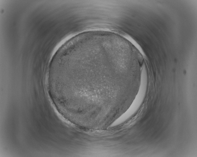 X0000080811101200701051144