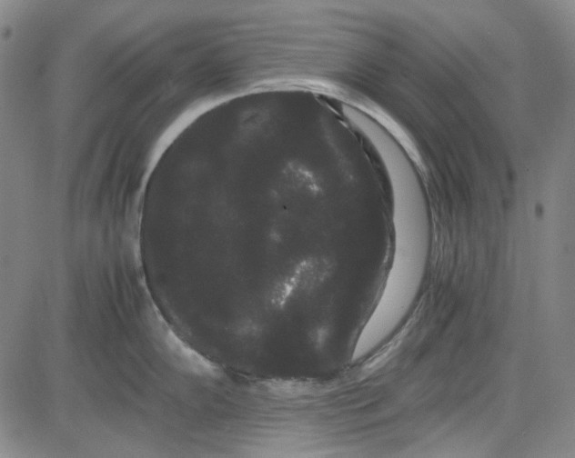 X0000080811102200701051144