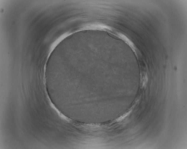 X0000080811103200701051144