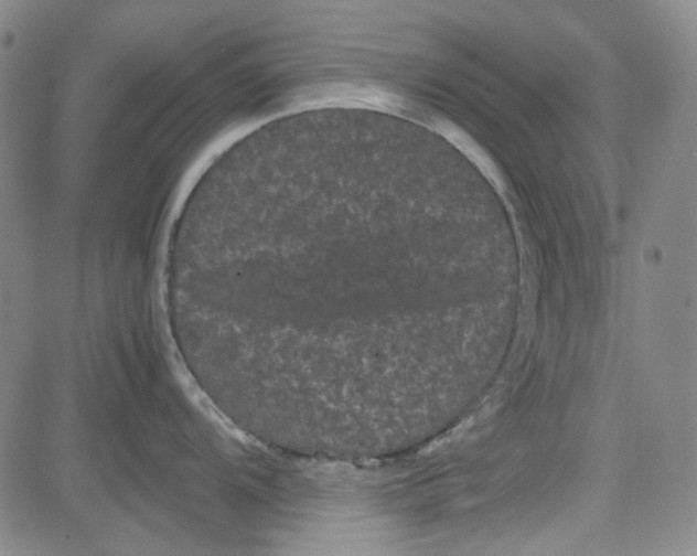 X0000080811104200701051144