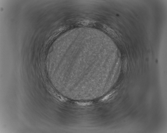 X0000080811105200701051143