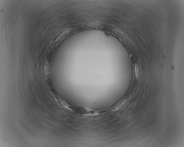 X0000080811107200701051143