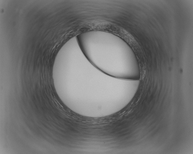 X0000080811108200701051143