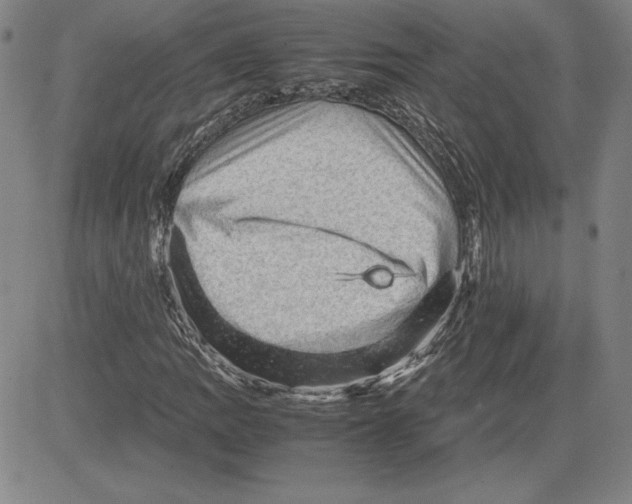 X0000080811109200701051143