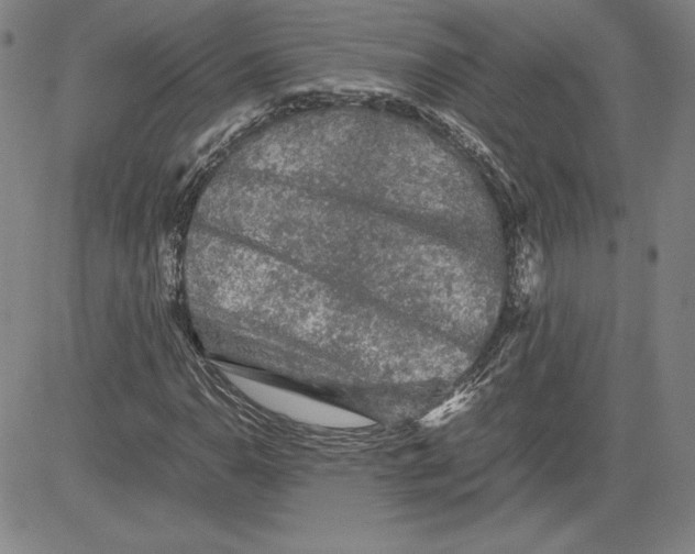 X0000080811110200701051143