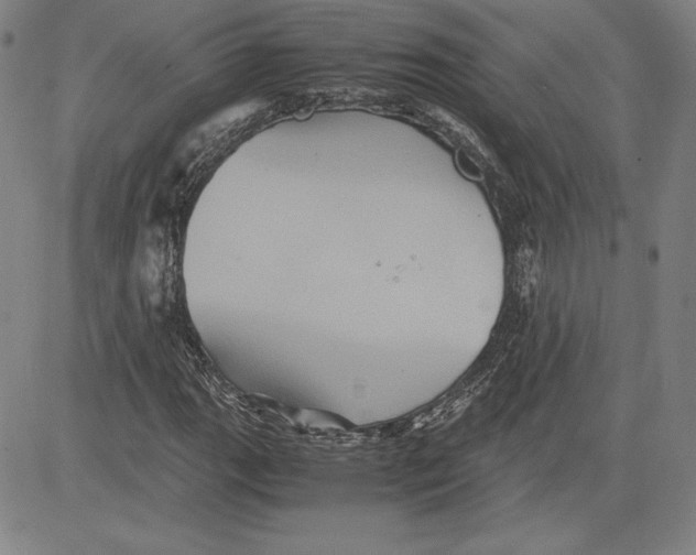 X0000080811111200701051143