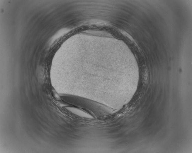 X0000080811112200701051143