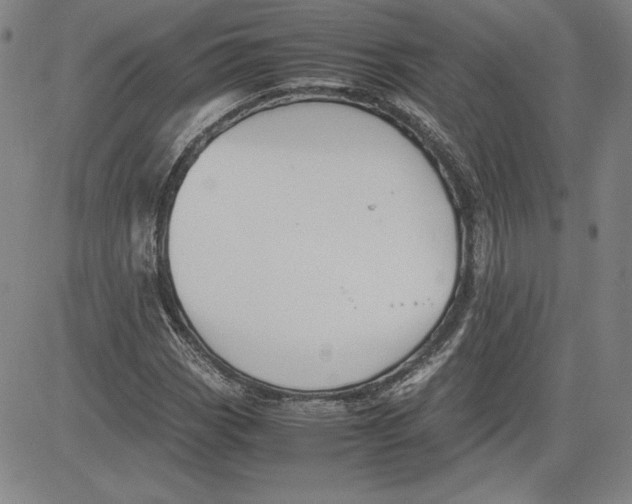 X0000080811113200701051143