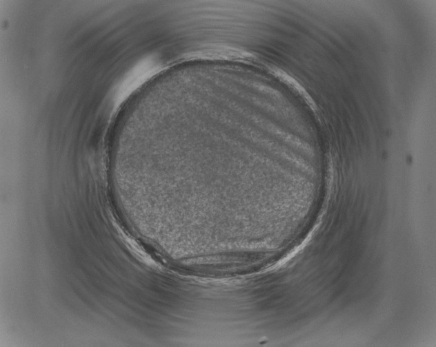 X0000080811114200701051143