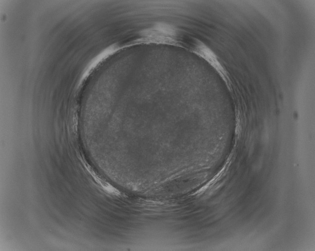 X0000080811115200701051143