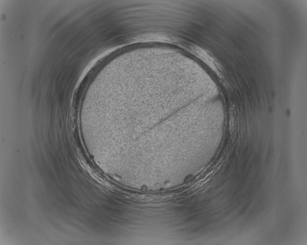 X0000080811116200701051143